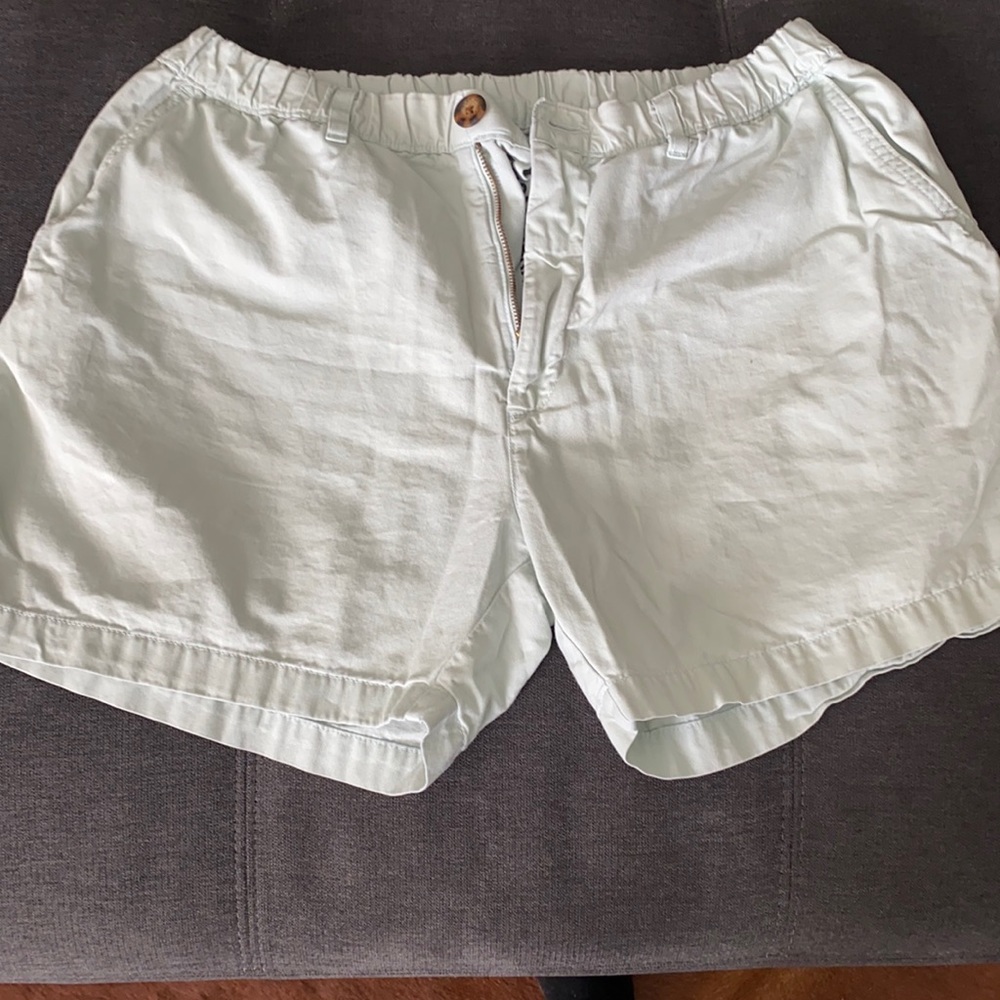 Mint Green Chubbies Shorts